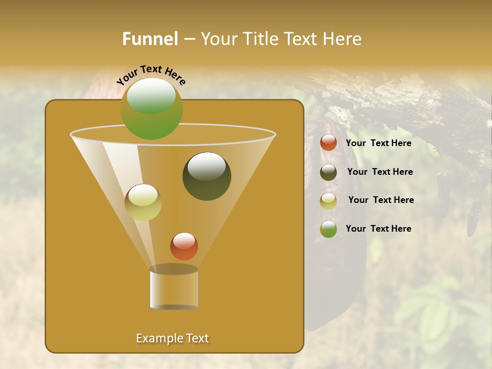 A Cocoa Plant Hanging From A Tree In A Forest PowerPoint Template