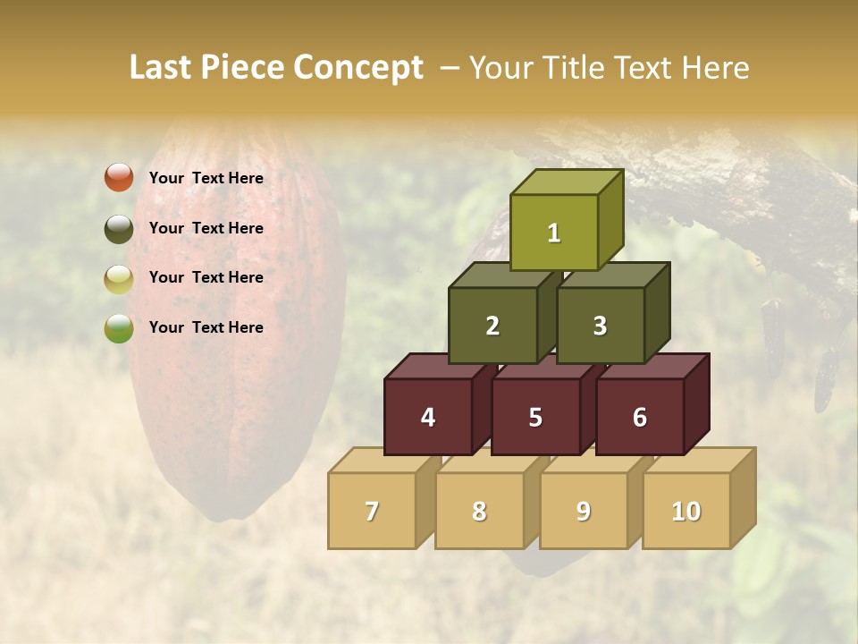 A Cocoa Plant Hanging From A Tree In A Forest PowerPoint Template