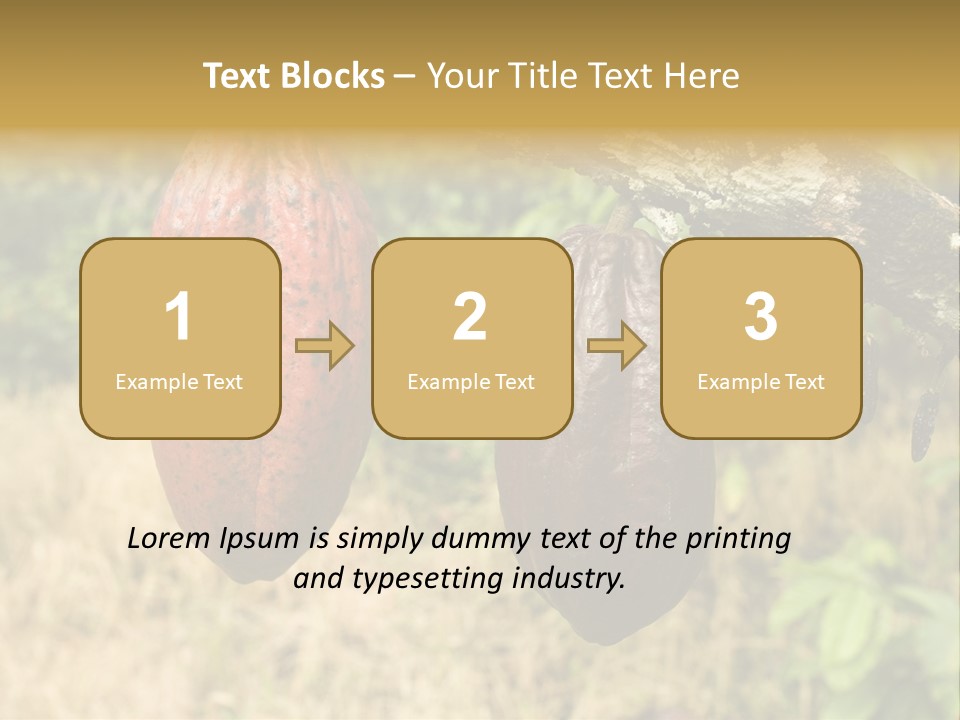 A Cocoa Plant Hanging From A Tree In A Forest PowerPoint Template