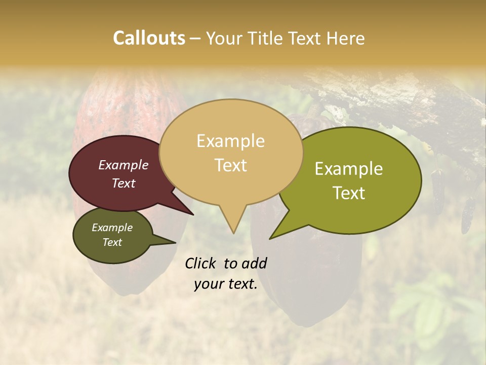 A Cocoa Plant Hanging From A Tree In A Forest PowerPoint Template