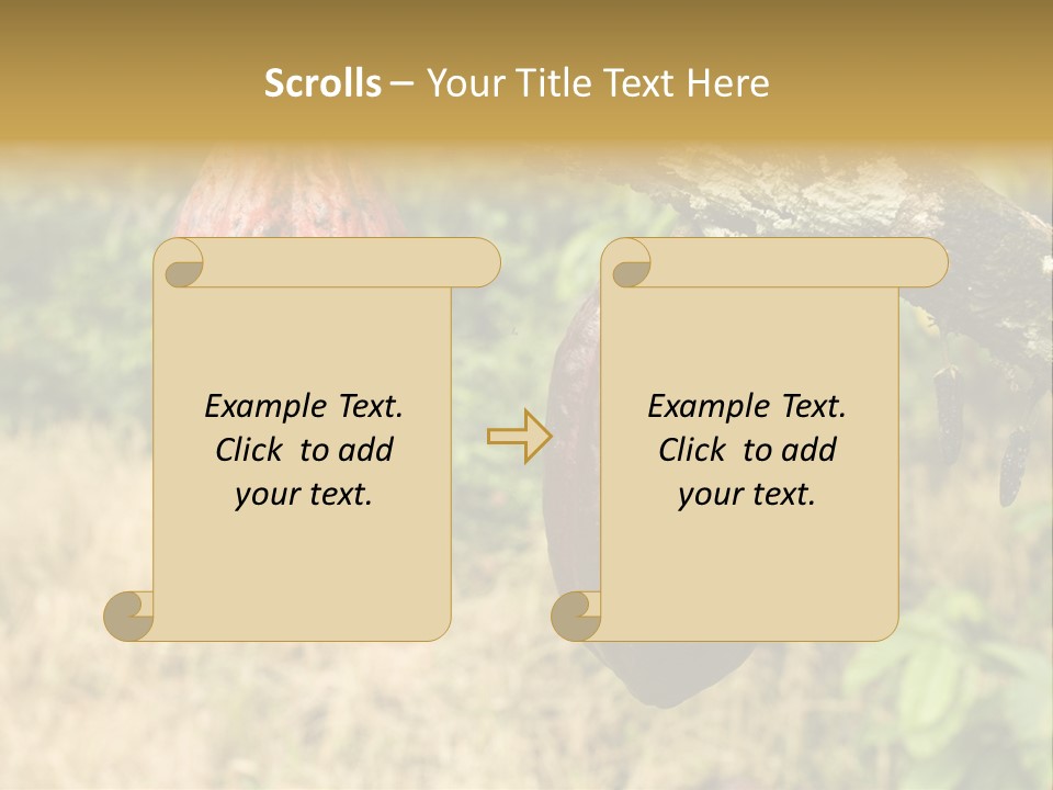 A Cocoa Plant Hanging From A Tree In A Forest PowerPoint Template