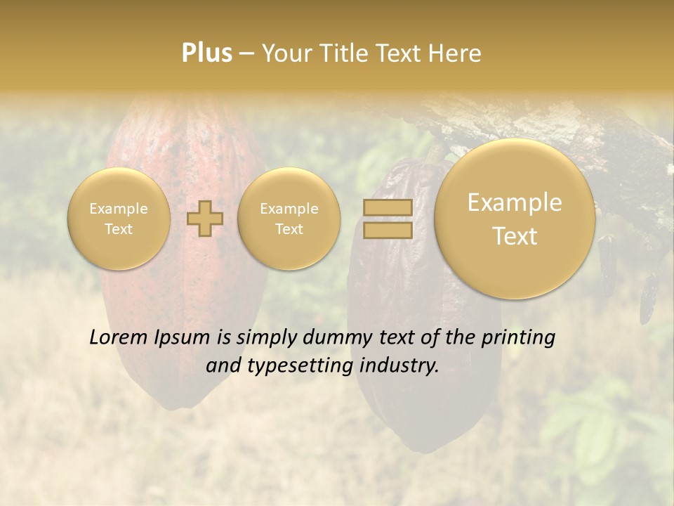A Cocoa Plant Hanging From A Tree In A Forest PowerPoint Template