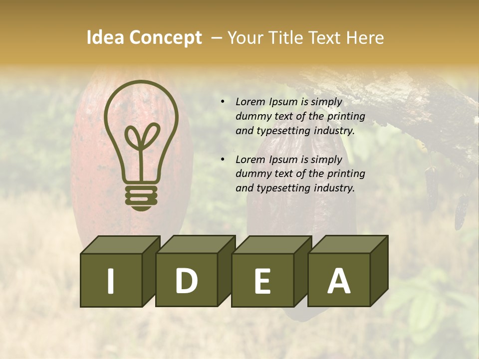 A Cocoa Plant Hanging From A Tree In A Forest PowerPoint Template