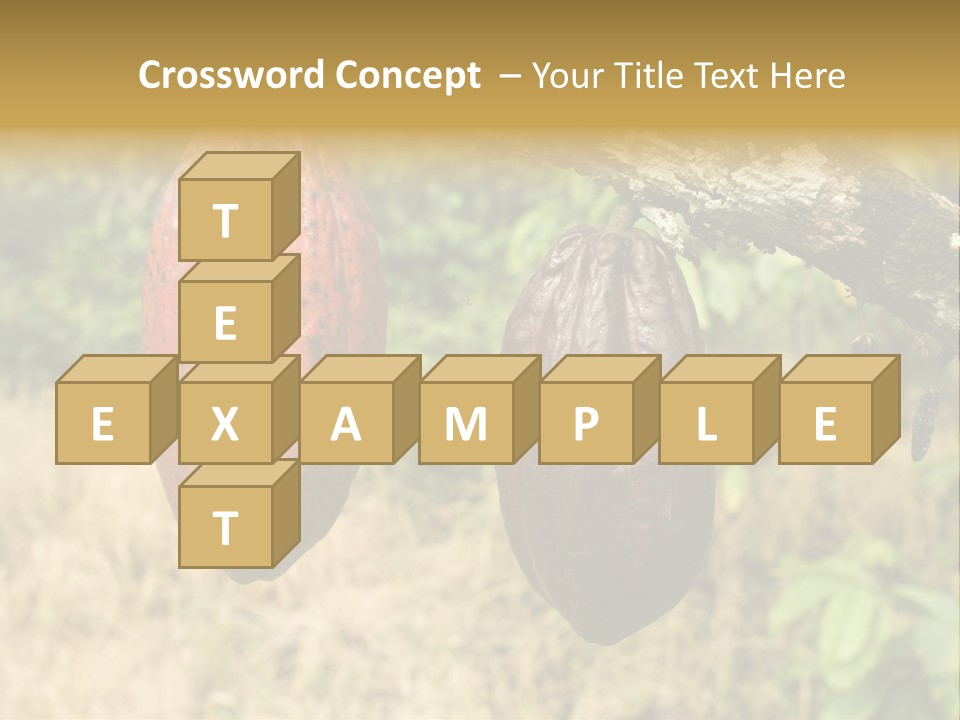 A Cocoa Plant Hanging From A Tree In A Forest PowerPoint Template