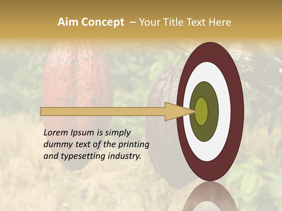 A Cocoa Plant Hanging From A Tree In A Forest PowerPoint Template