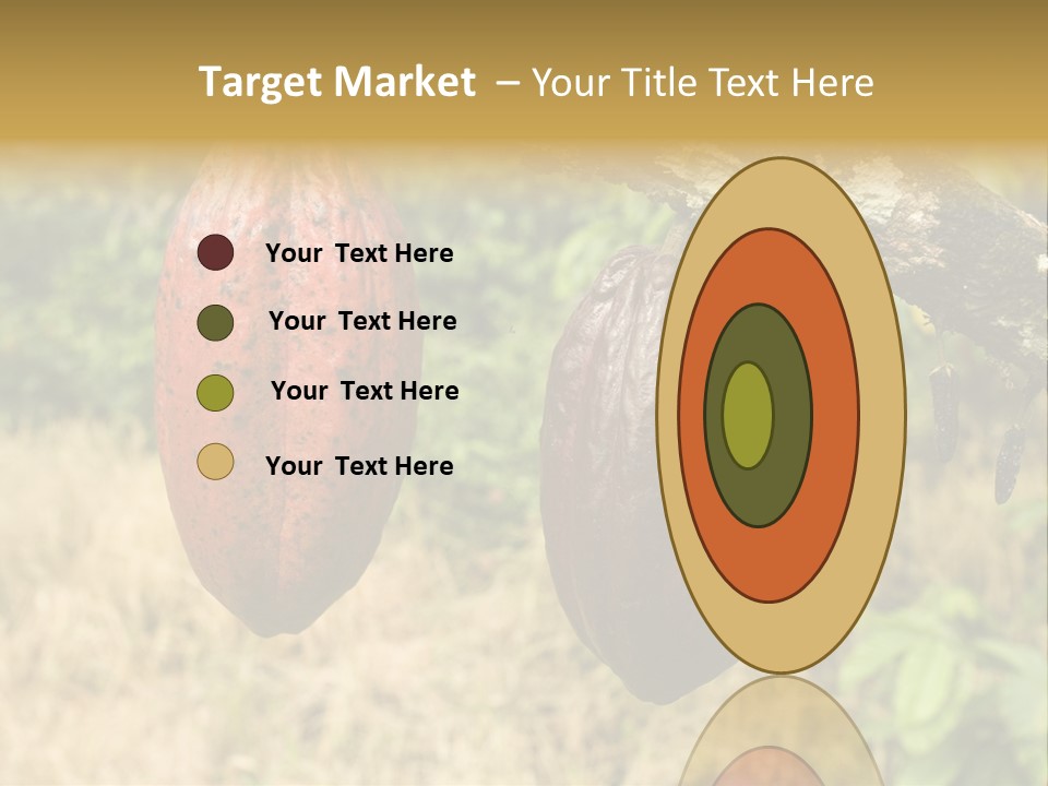 A Cocoa Plant Hanging From A Tree In A Forest PowerPoint Template