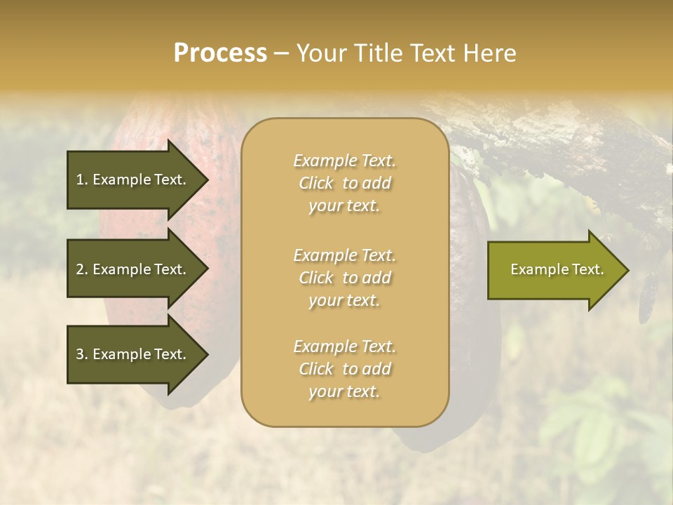 A Cocoa Plant Hanging From A Tree In A Forest PowerPoint Template