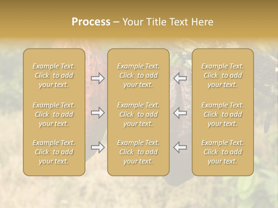 A Cocoa Plant Hanging From A Tree In A Forest PowerPoint Template