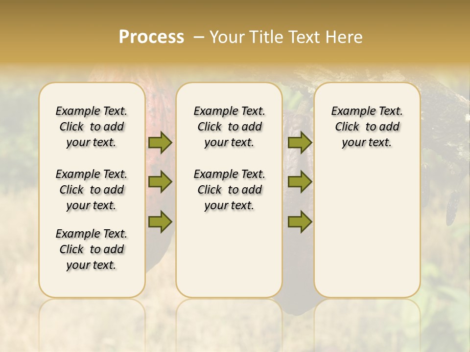 A Cocoa Plant Hanging From A Tree In A Forest PowerPoint Template