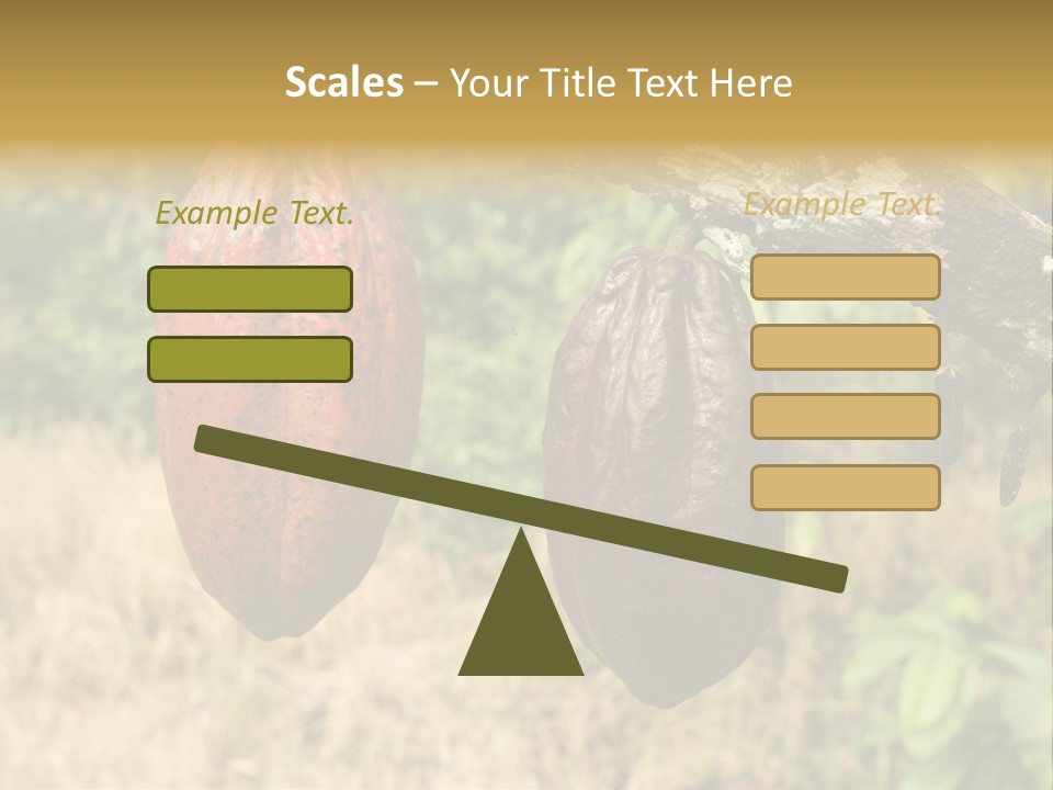 A Cocoa Plant Hanging From A Tree In A Forest PowerPoint Template