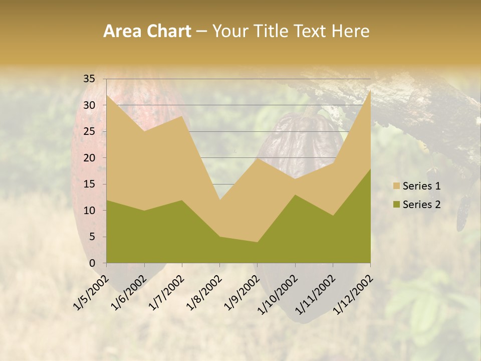 A Cocoa Plant Hanging From A Tree In A Forest PowerPoint Template