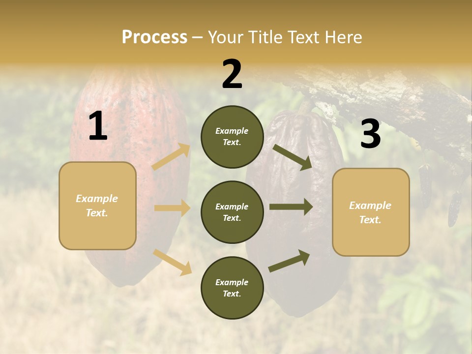 A Cocoa Plant Hanging From A Tree In A Forest PowerPoint Template