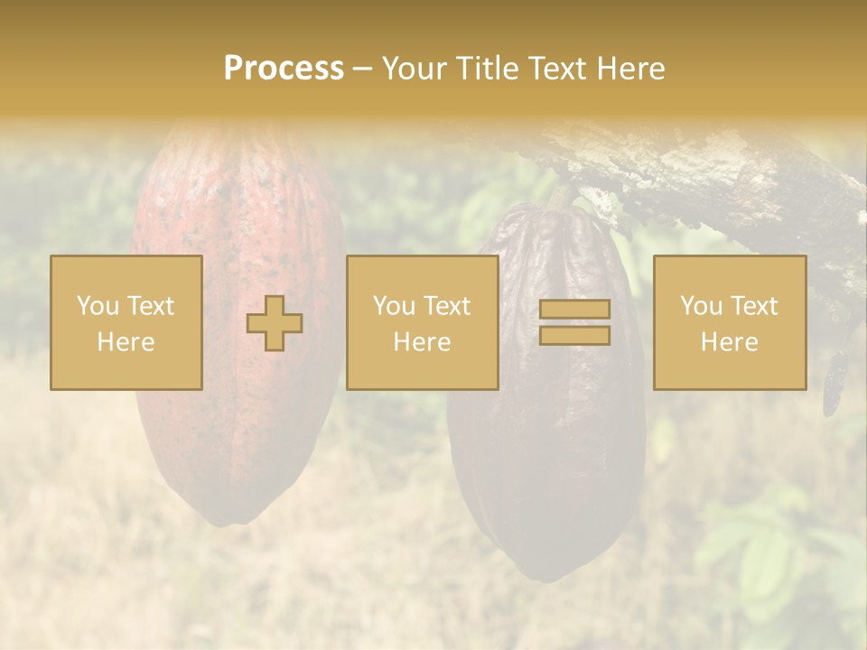 A Cocoa Plant Hanging From A Tree In A Forest PowerPoint Template