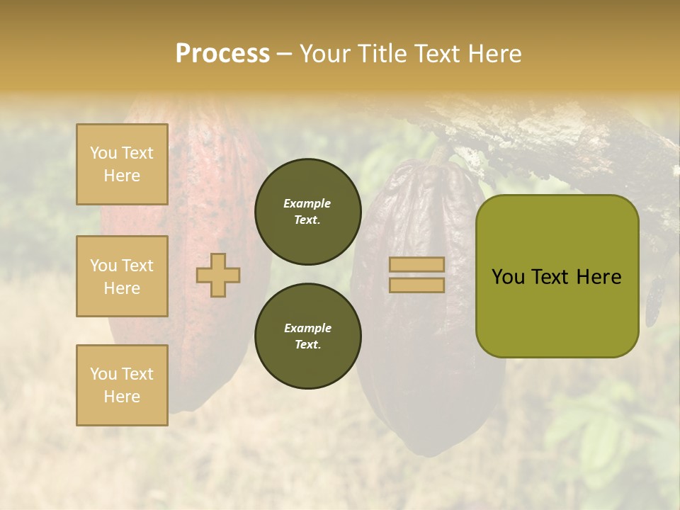 A Cocoa Plant Hanging From A Tree In A Forest PowerPoint Template