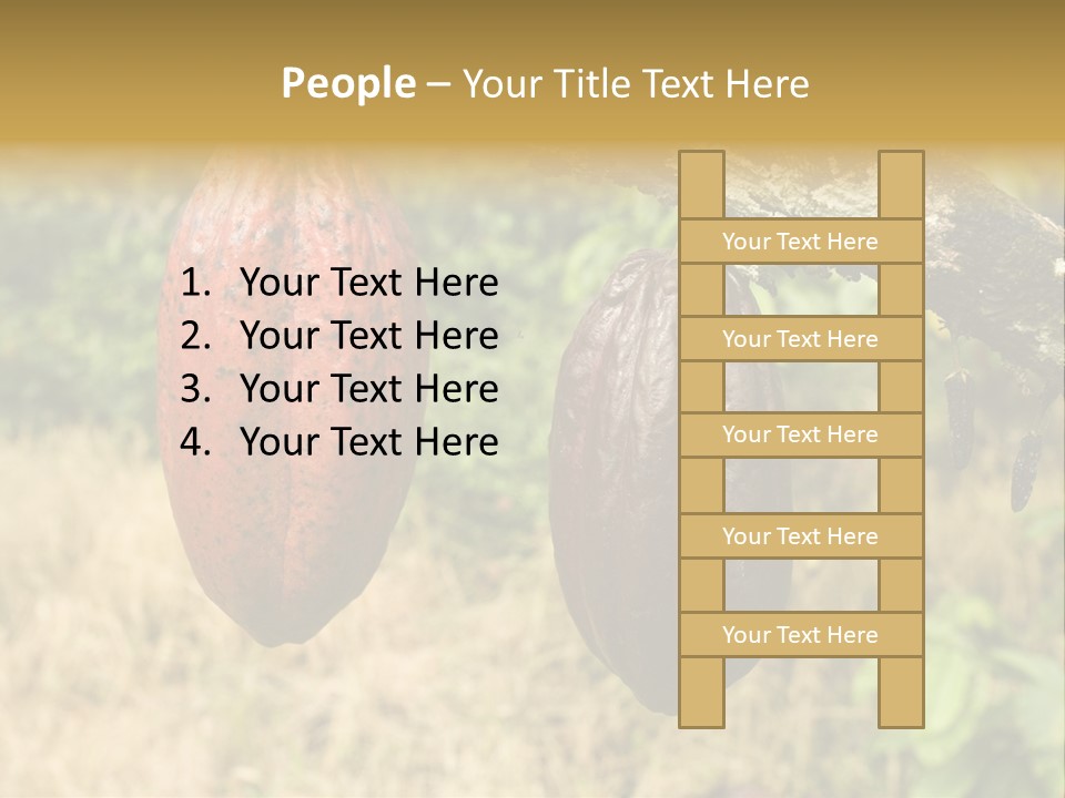 A Cocoa Plant Hanging From A Tree In A Forest PowerPoint Template