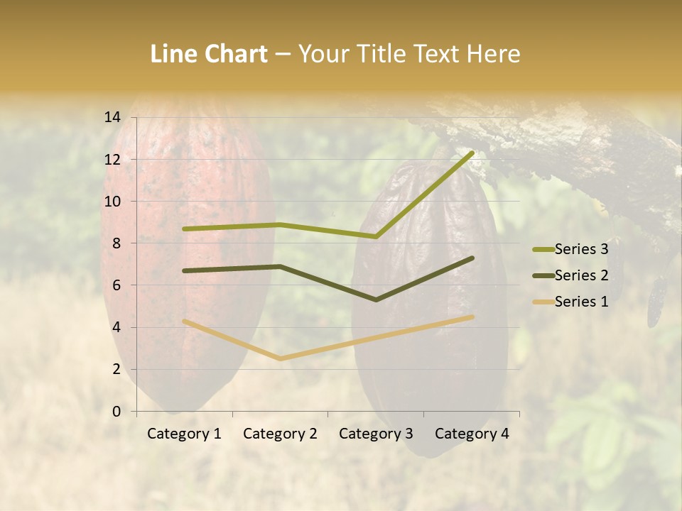 A Cocoa Plant Hanging From A Tree In A Forest PowerPoint Template