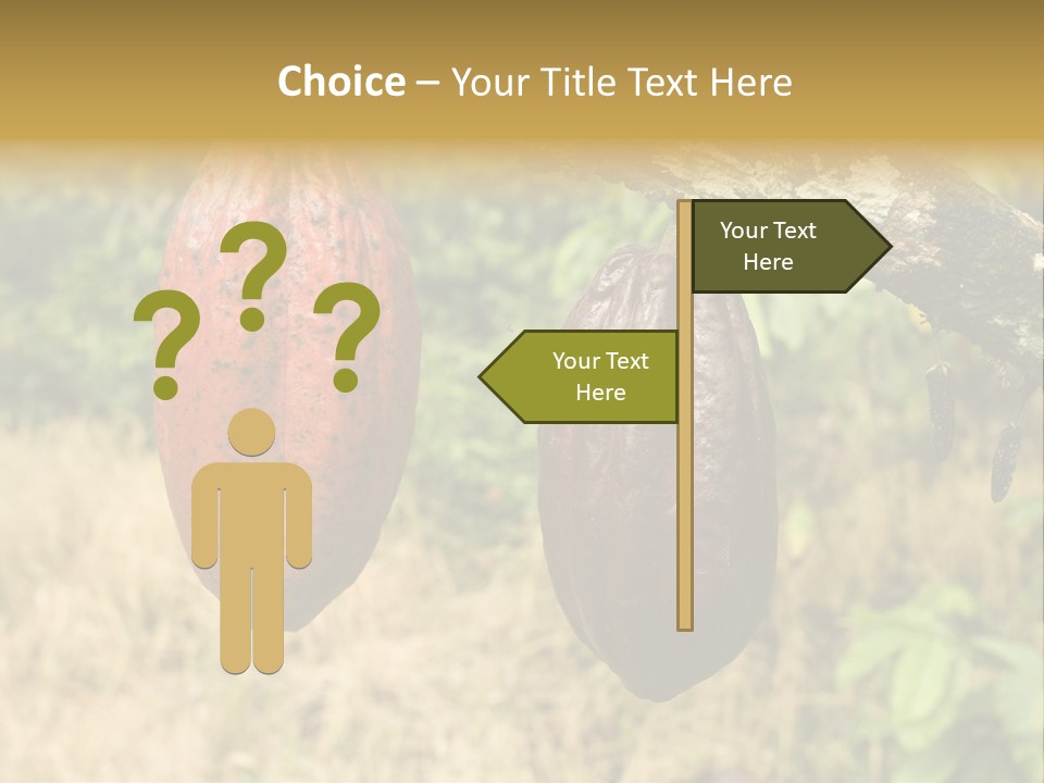 A Cocoa Plant Hanging From A Tree In A Forest PowerPoint Template