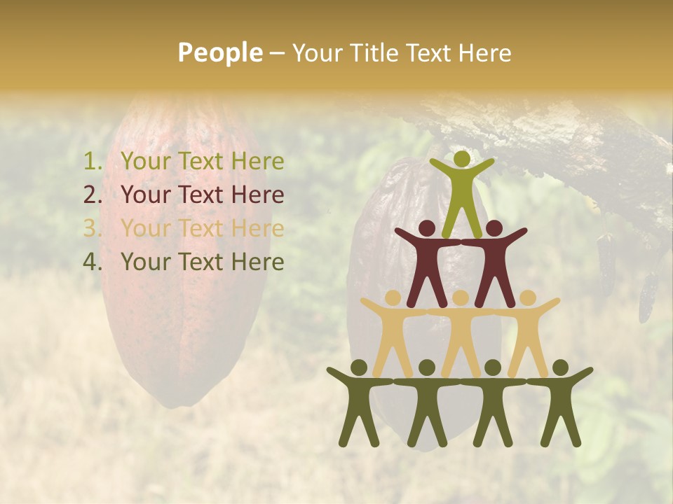 A Cocoa Plant Hanging From A Tree In A Forest PowerPoint Template