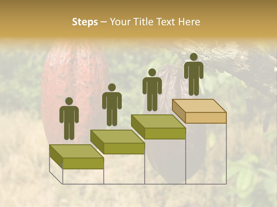 A Cocoa Plant Hanging From A Tree In A Forest PowerPoint Template
