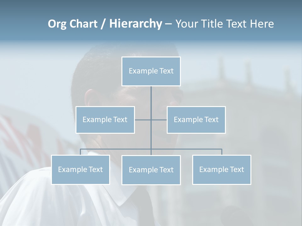 Aerial View Of Chicago, Illinois Looking North-East From The Sears Tower PowerPoint Template