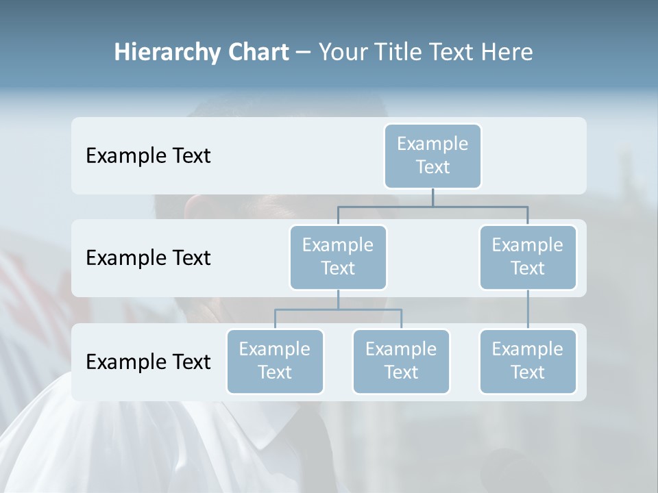 Aerial View Of Chicago, Illinois Looking North-East From The Sears Tower PowerPoint Template
