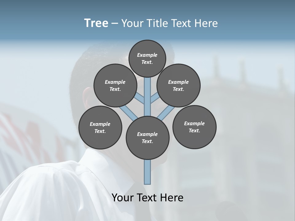 Aerial View Of Chicago, Illinois Looking North-East From The Sears Tower PowerPoint Template