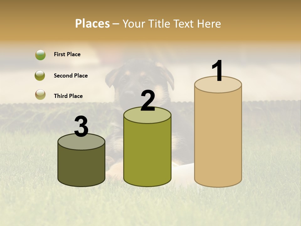 Alsatian Cross-Breed Puppy PowerPoint Template