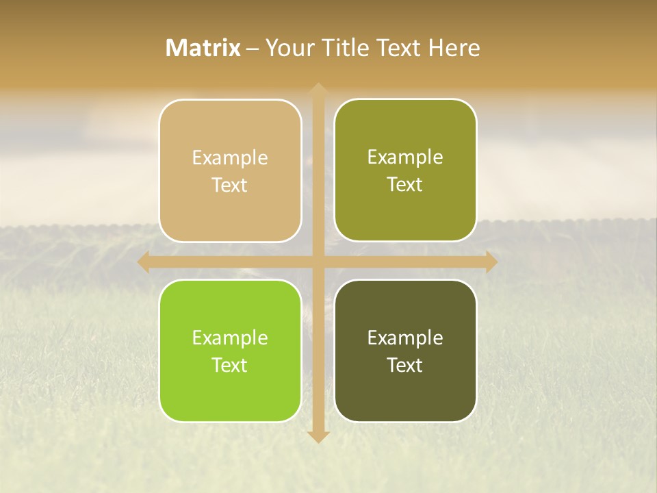 Alsatian Cross-Breed Puppy PowerPoint Template