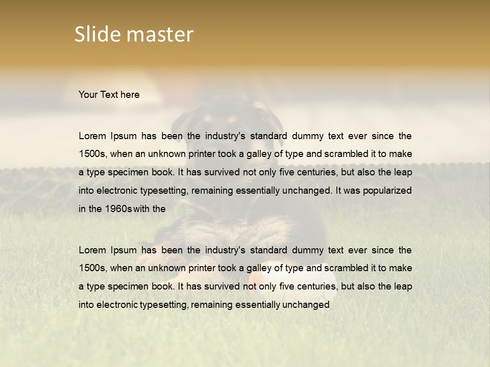 Alsatian Cross-Breed Puppy PowerPoint Template