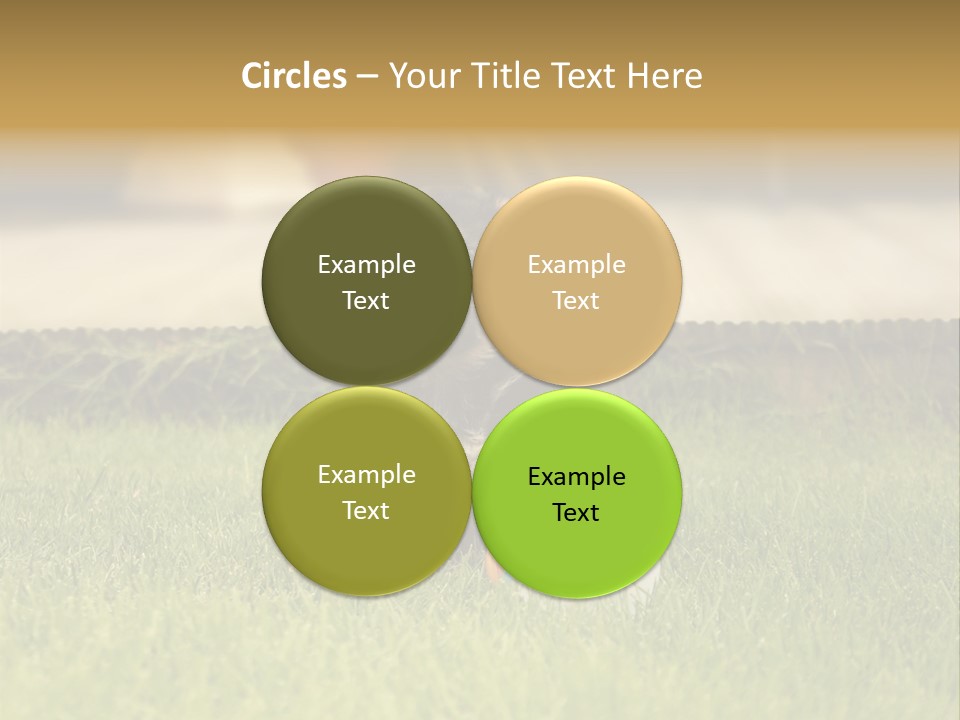 Alsatian Cross-Breed Puppy PowerPoint Template