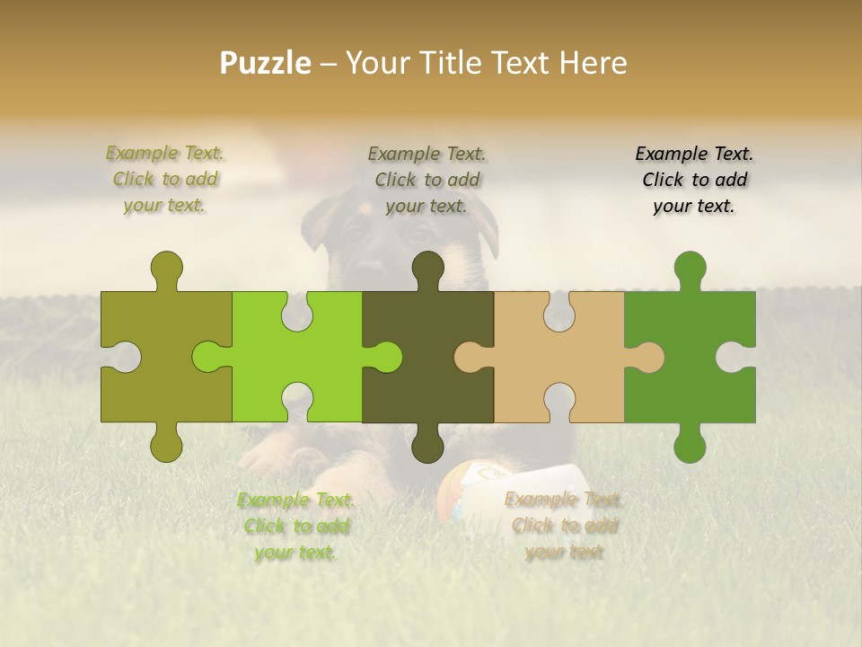 Alsatian Cross-Breed Puppy PowerPoint Template