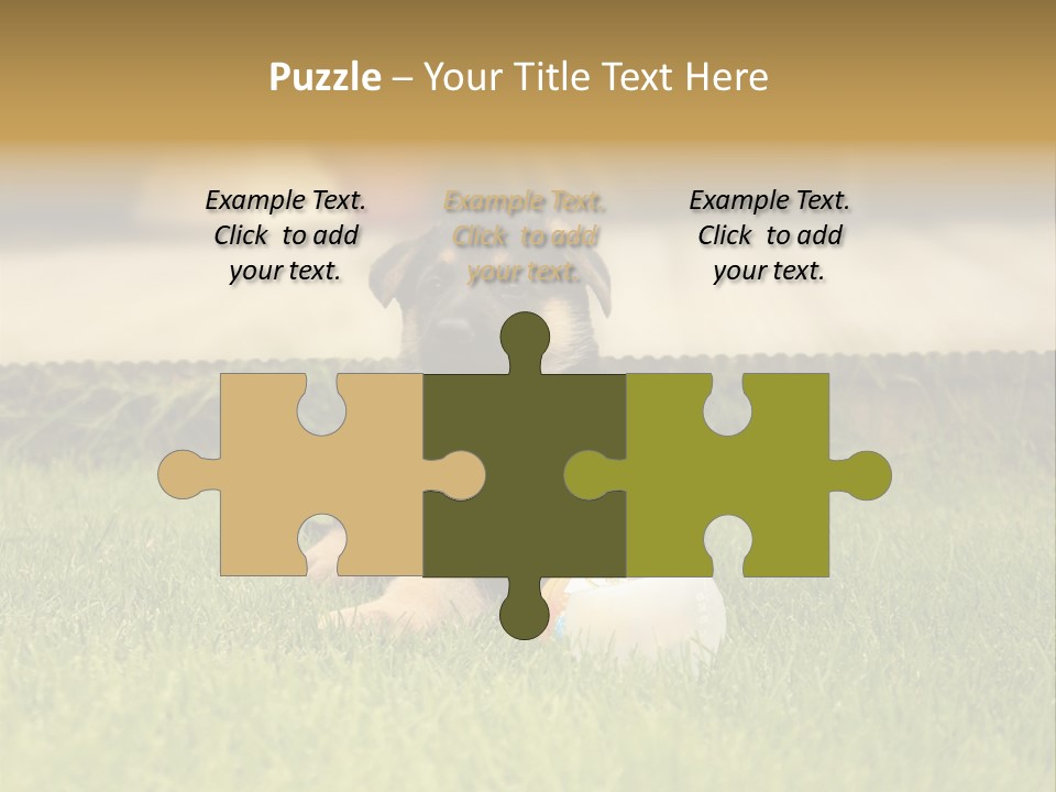 Alsatian Cross-Breed Puppy PowerPoint Template