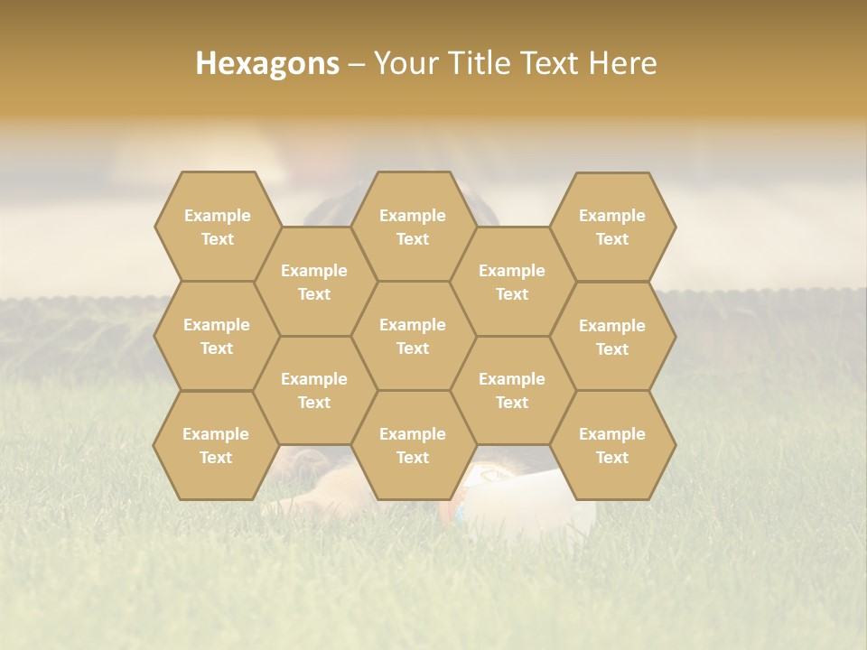 Alsatian Cross-Breed Puppy PowerPoint Template