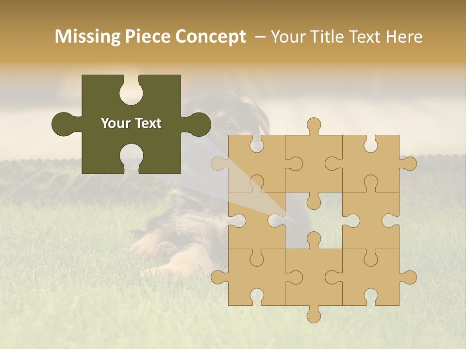 Alsatian Cross-Breed Puppy PowerPoint Template