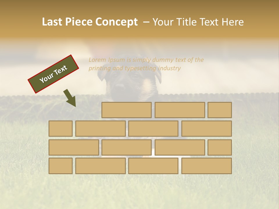 Alsatian Cross-Breed Puppy PowerPoint Template