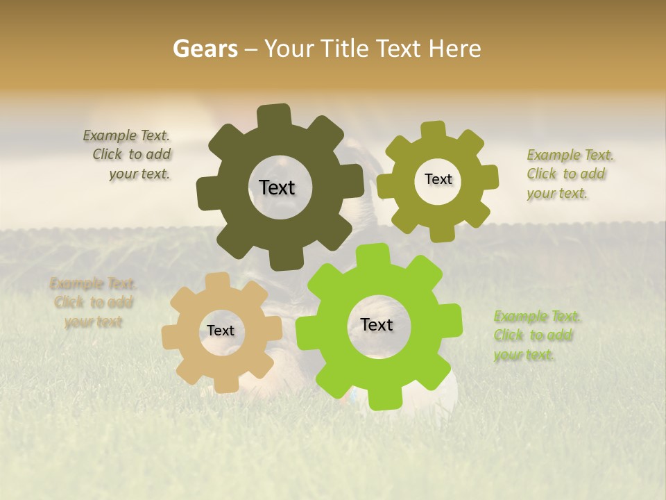 Alsatian Cross-Breed Puppy PowerPoint Template