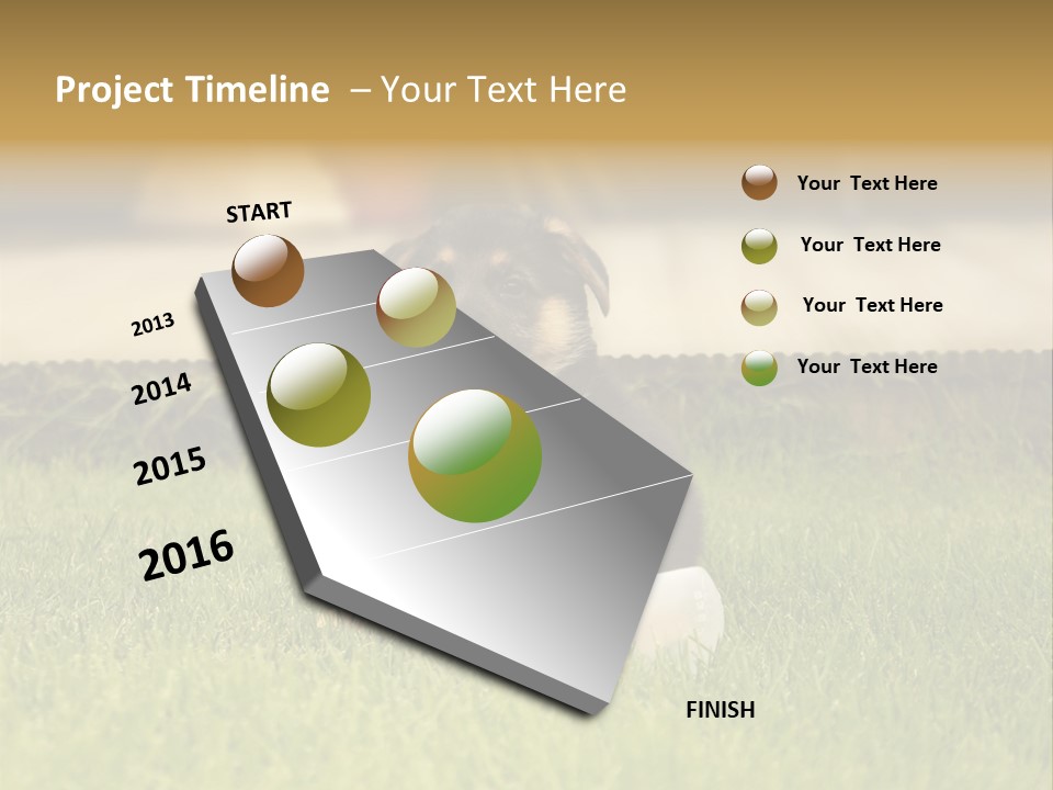 Alsatian Cross-Breed Puppy PowerPoint Template