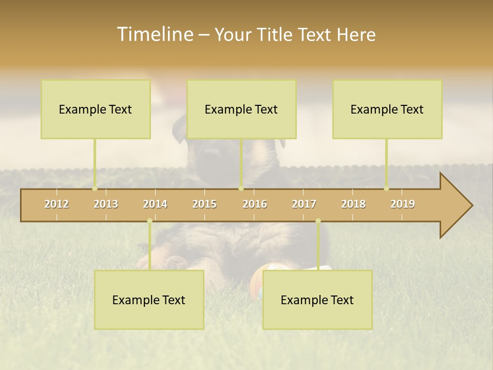 Alsatian Cross-Breed Puppy PowerPoint Template