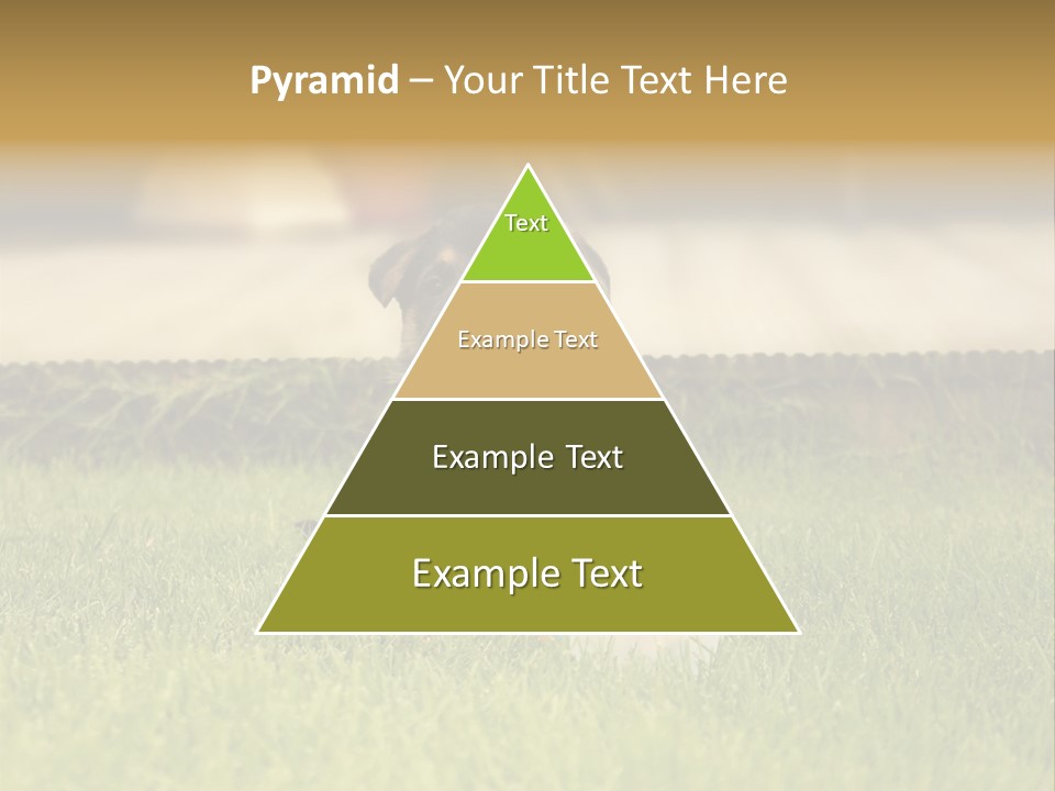 Alsatian Cross-Breed Puppy PowerPoint Template