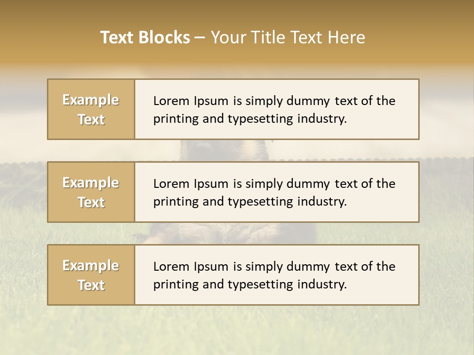 Alsatian Cross-Breed Puppy PowerPoint Template