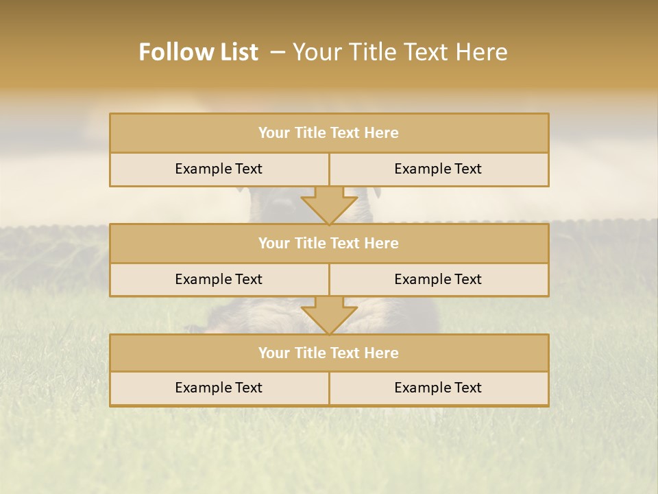Alsatian Cross-Breed Puppy PowerPoint Template