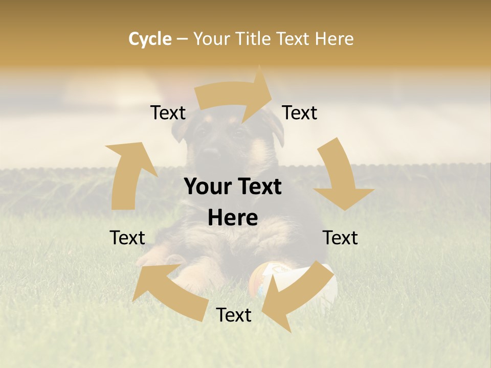 Alsatian Cross-Breed Puppy PowerPoint Template