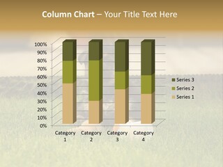 Alsatian Cross-Breed Puppy PowerPoint Template