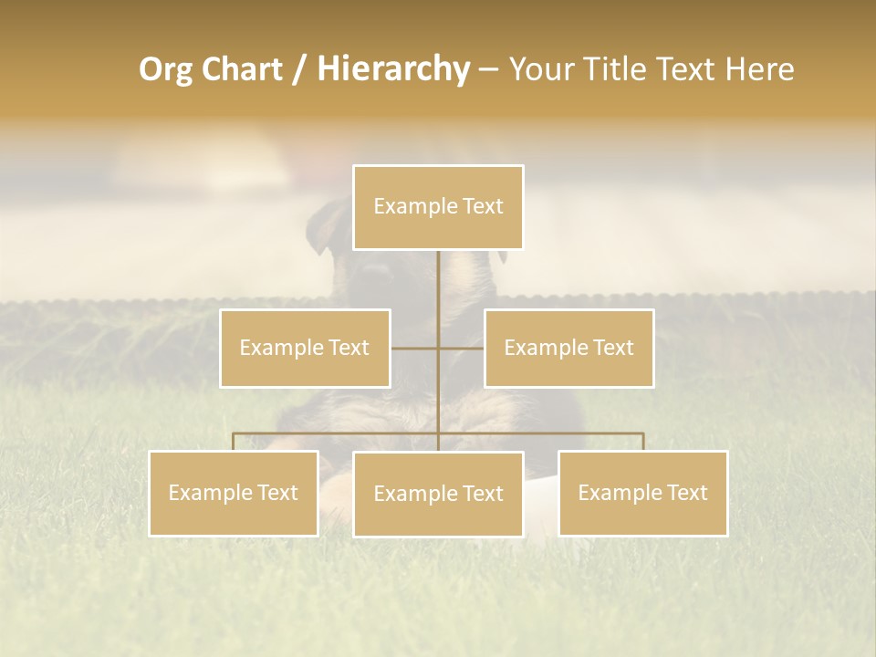 Alsatian Cross-Breed Puppy PowerPoint Template