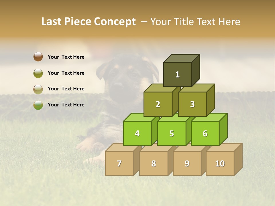 Alsatian Cross-Breed Puppy PowerPoint Template