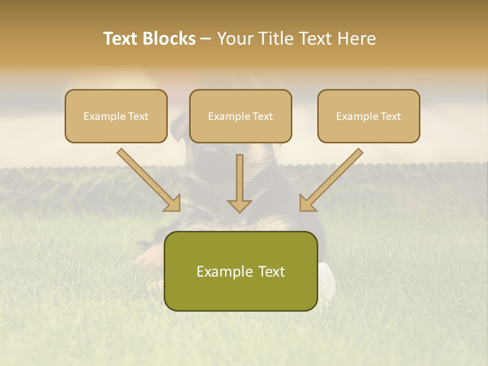Alsatian Cross-Breed Puppy PowerPoint Template