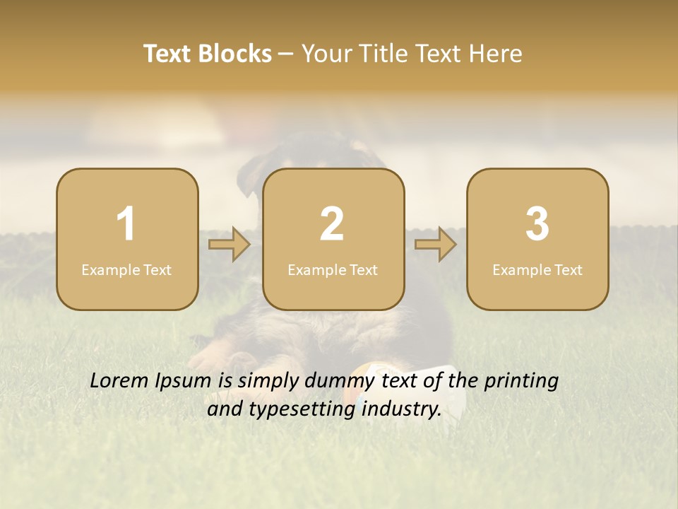 Alsatian Cross-Breed Puppy PowerPoint Template