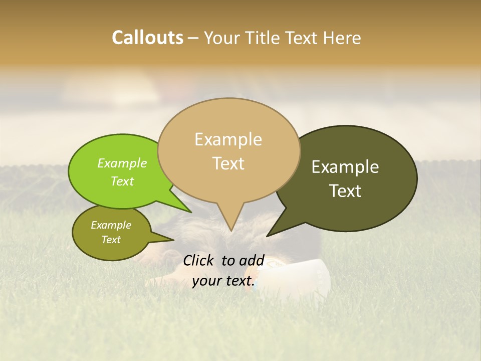 Alsatian Cross-Breed Puppy PowerPoint Template