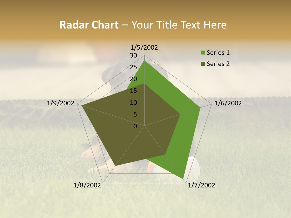 Alsatian Cross-Breed Puppy PowerPoint Template