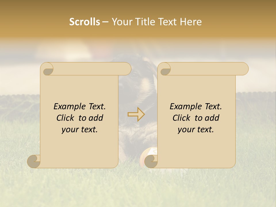 Alsatian Cross-Breed Puppy PowerPoint Template